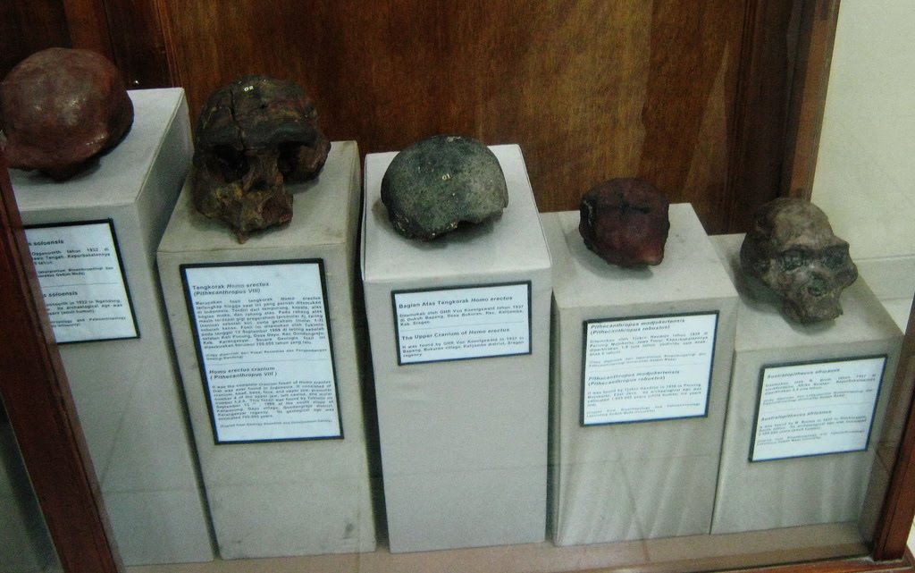 Ancient or Antique Objects: Sangiran is an archaeological site in Java
