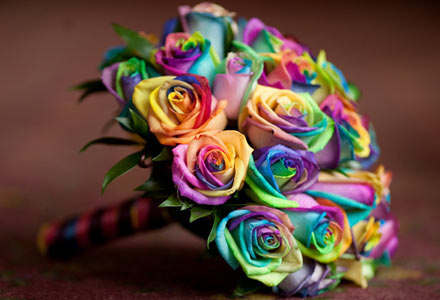 for a rainbow theme don 39t forget the rainbow roses Candy Land Wedding 