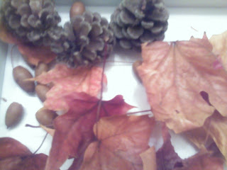fall decoration of dried leaves, pine cones, and acorns