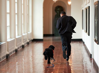 photo of President Obama running with dog Bo by Pete DeSouza