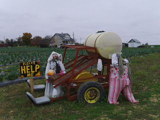 scarecrows and machinery