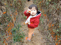 2005.02 Yuanlin, Taiwan