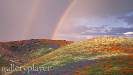 PRetty COLORS