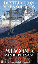 Patagonia Chilena ¡Sin Represas!