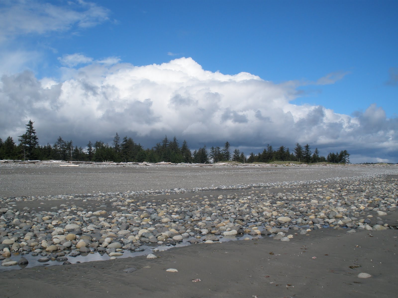 Living on the Edge: SkyWatch Friday ~ Low tides and dramatic skies