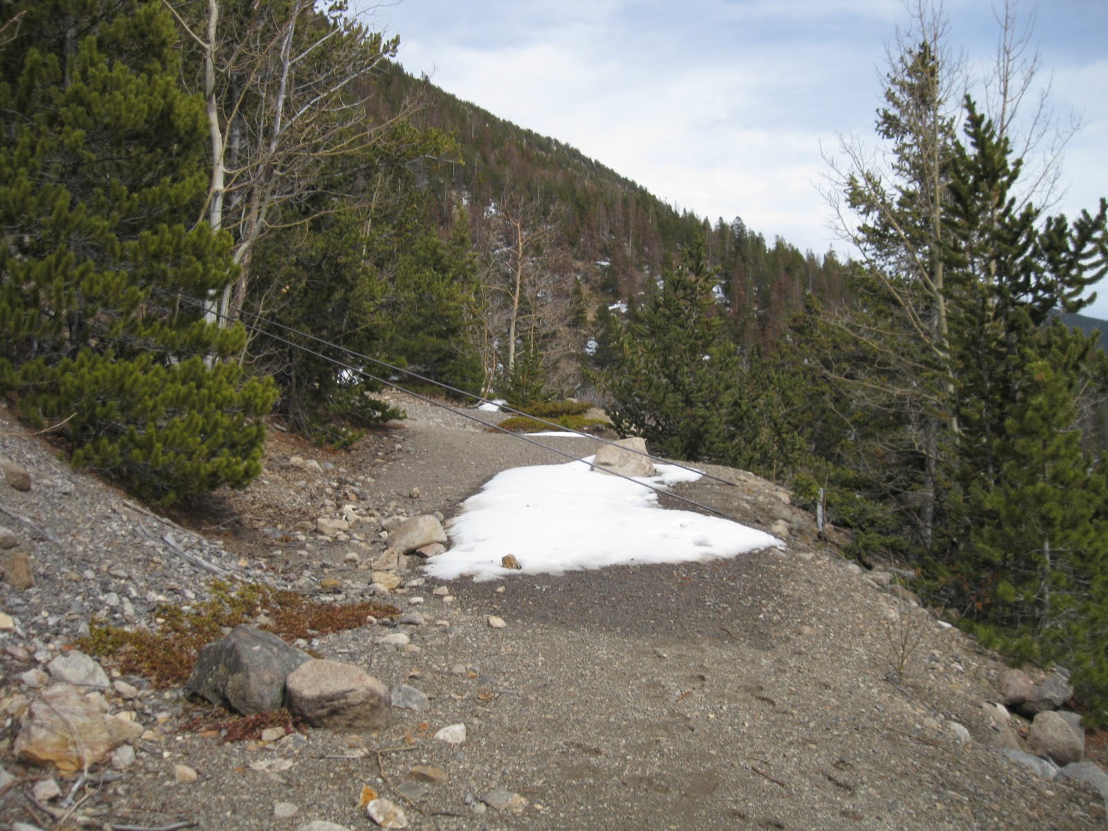 "minutiae" by Nathan Abels Silver Plume Griffin Memorial Hike MegaPost