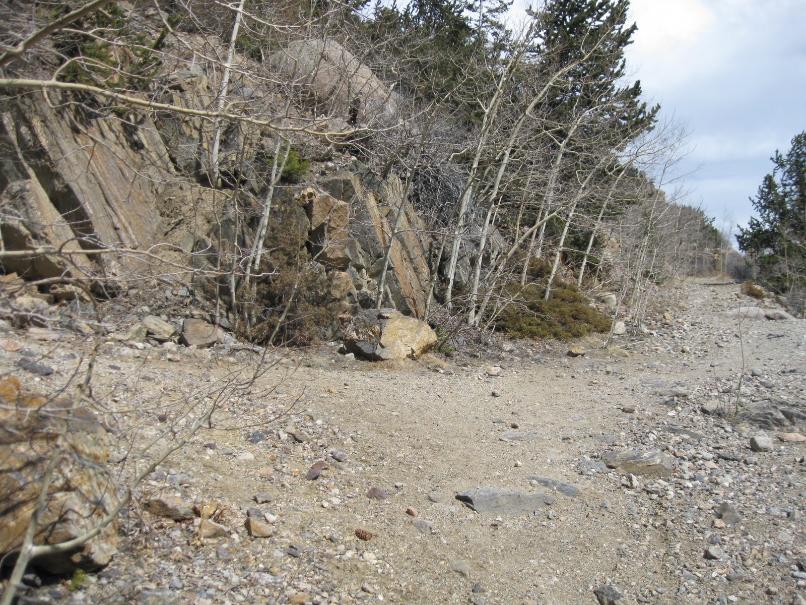 "minutiae" by Nathan Abels Silver Plume Griffin Memorial Hike MegaPost