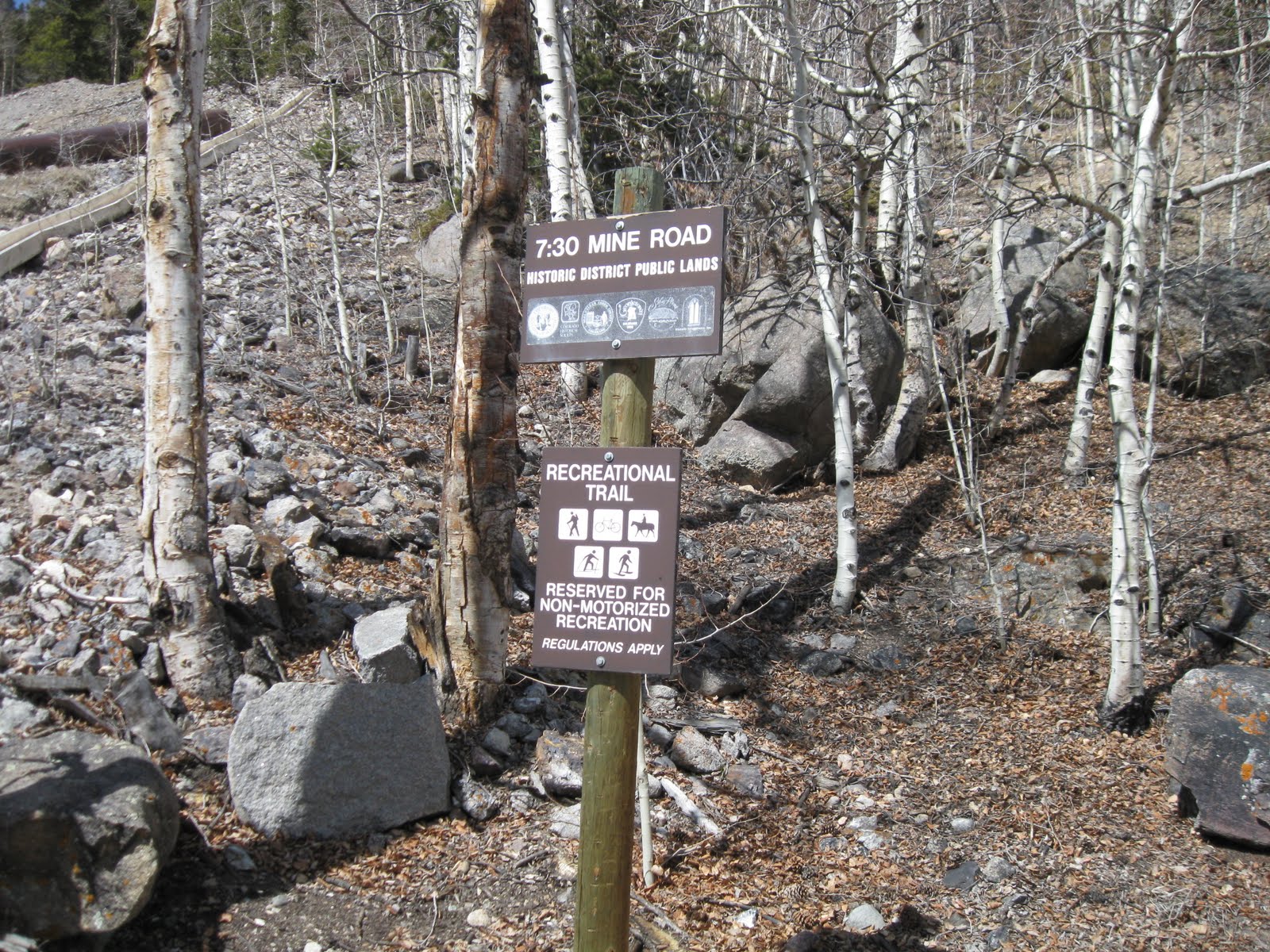 "minutiae" by Nathan Abels Silver Plume Griffin Memorial Hike MegaPost