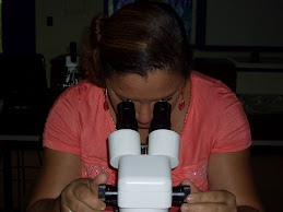 Msc. Lety de Wong