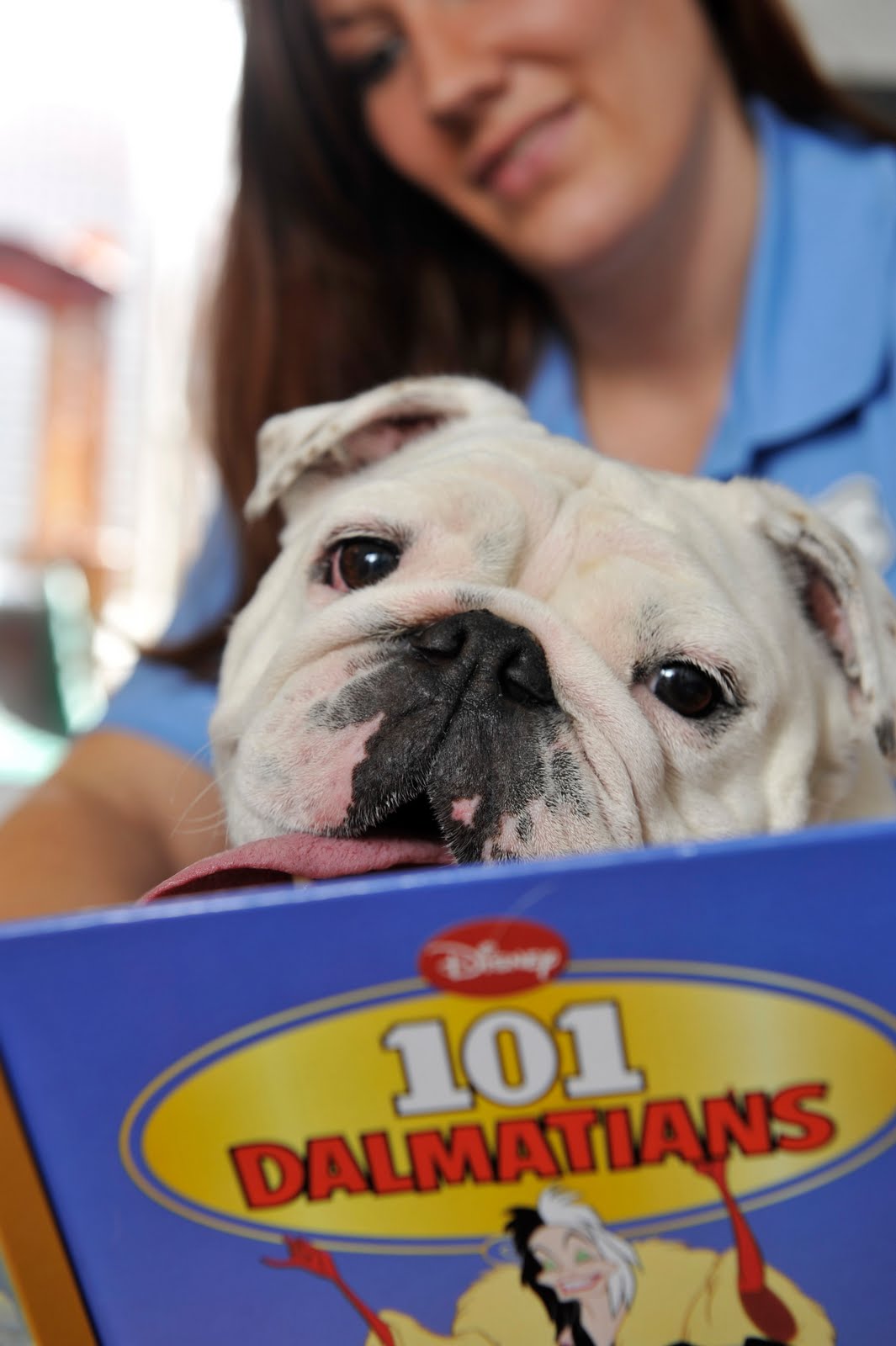 News from Disney TAIL WAGGER! Best Friends Opens Luxury Pet Resort at