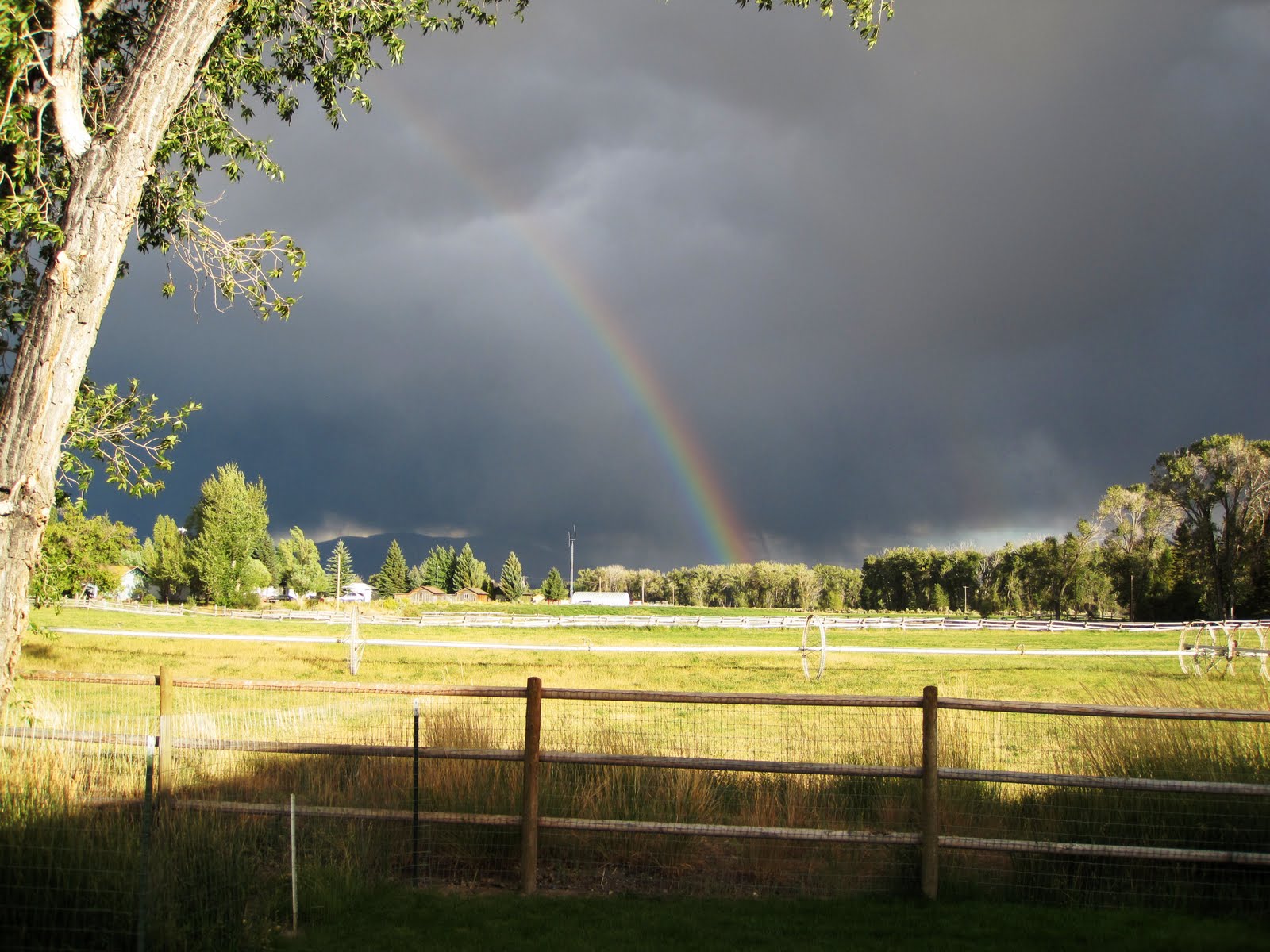 Mackay, Idaho 83251 August 2010