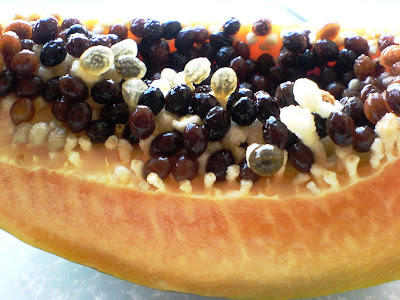 Papaya and Lettuce Salad - Organic papaya