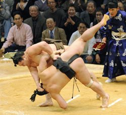 [Sumo+2.jpg]