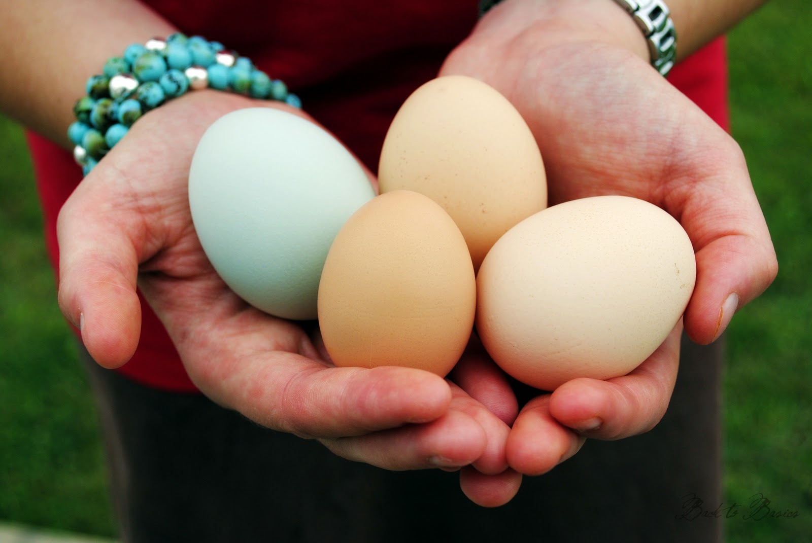 Back to Basics Big Eggs, Little Eggs