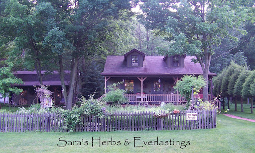 Sara's Herbs and Everlastings