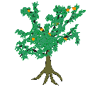 [animacion+arbol.gif]