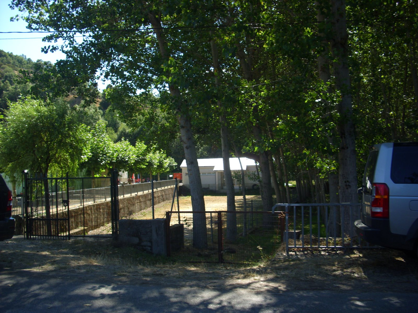 [DSCI0335.JPG]