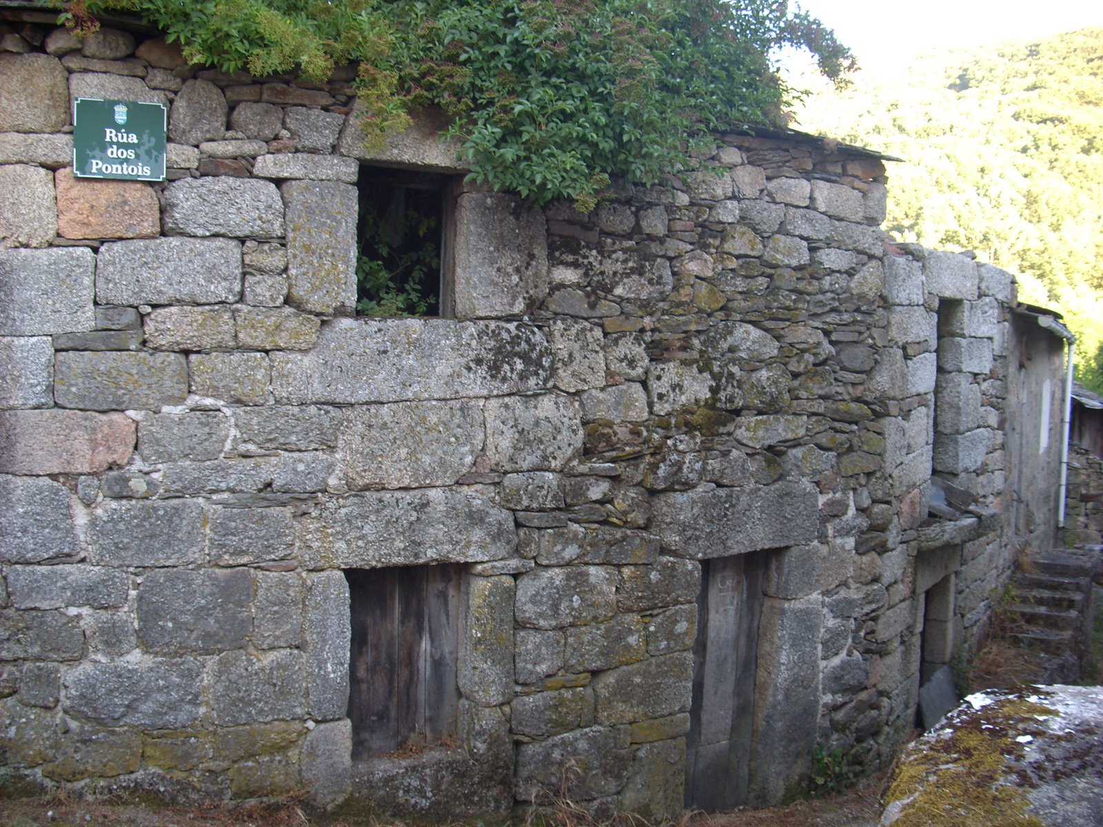 [DSCI0100.JPG]