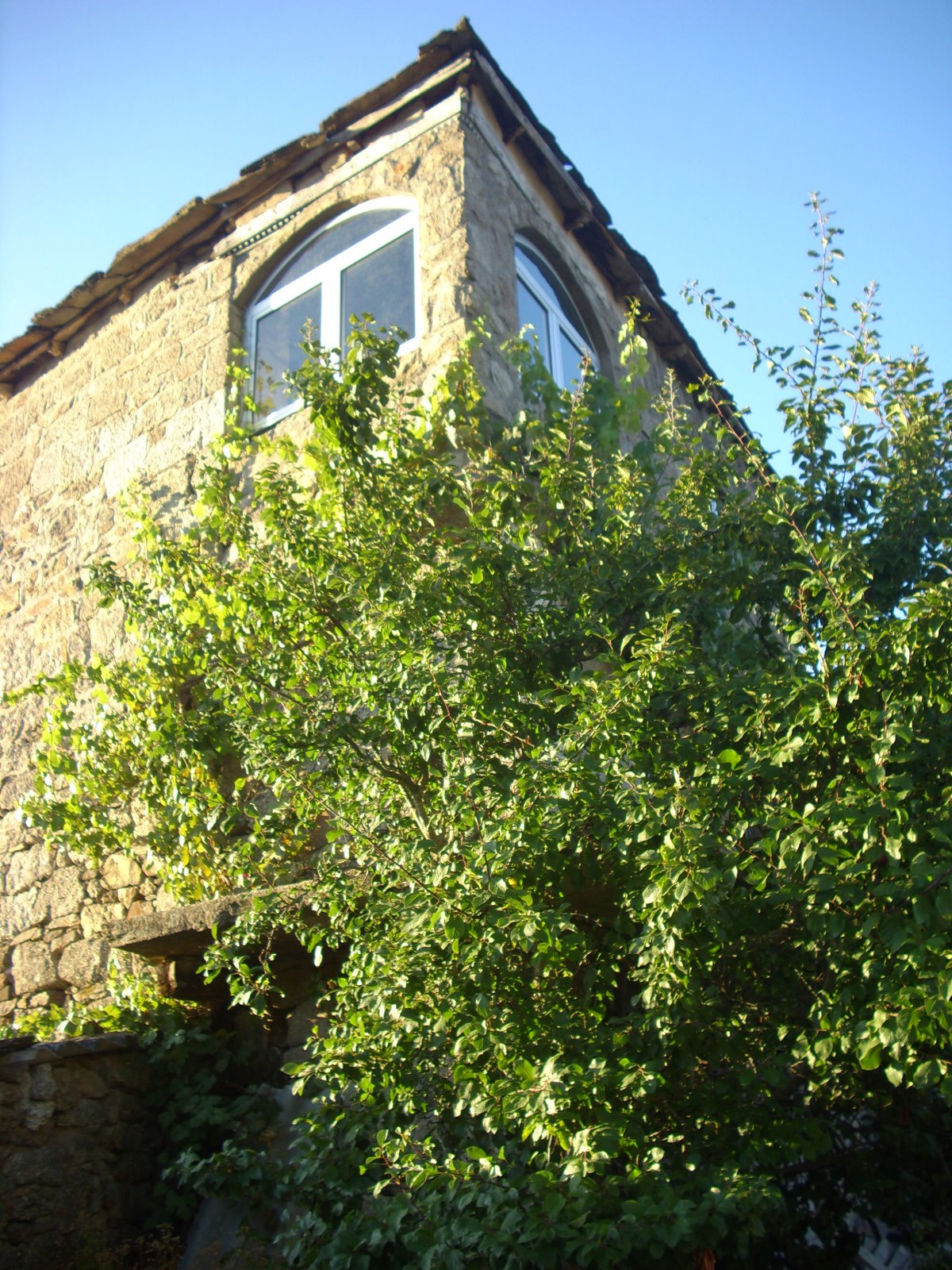 [DSCI0493.JPG]