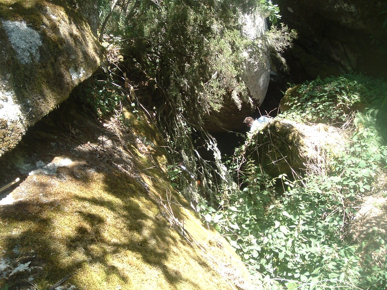 [DSCF0487.JPG]