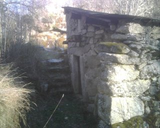 [molino4]