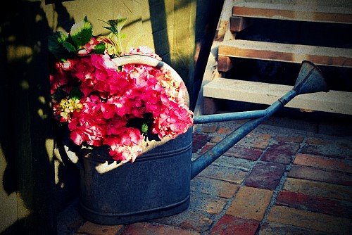 [f7260d3124d2062e_o.jpg]