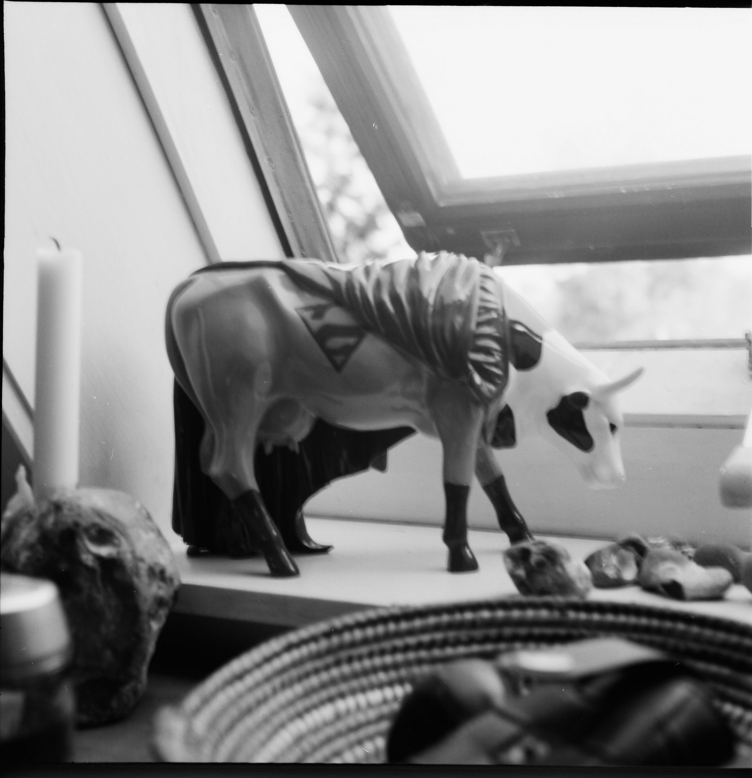 [rollei+superman+cow]