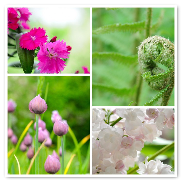 [mosaicce03cebd5f98a2c479040f267c6529aa3b5bd0f8.jpg]