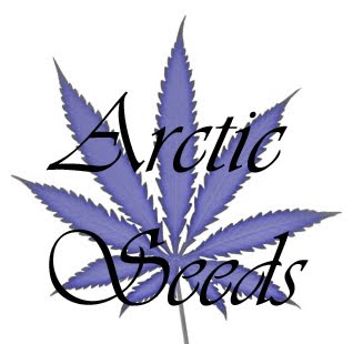 Arctic Seeds - Cannabis Strains From Finland