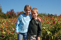 Zinnias
