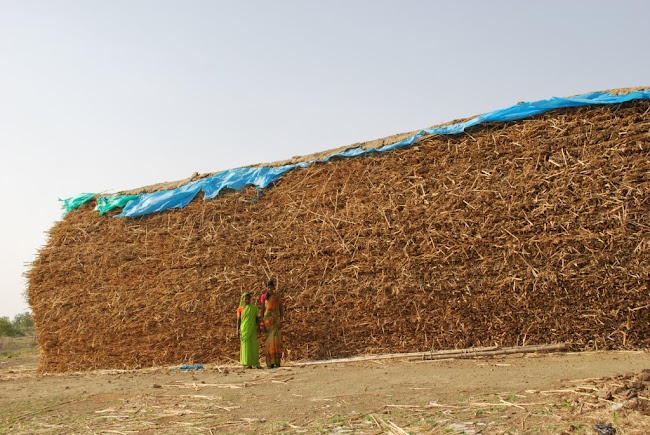 Dairy-two dry grass stacks (5)