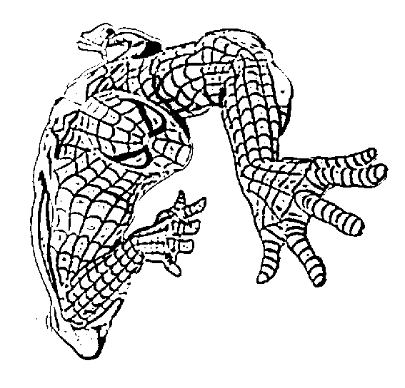 Coloring Sheet Spiderman Coloring Pages Spiderman coloring pages begopisan