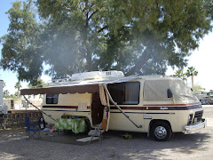 In Quartzsite - under the Tamarask tree