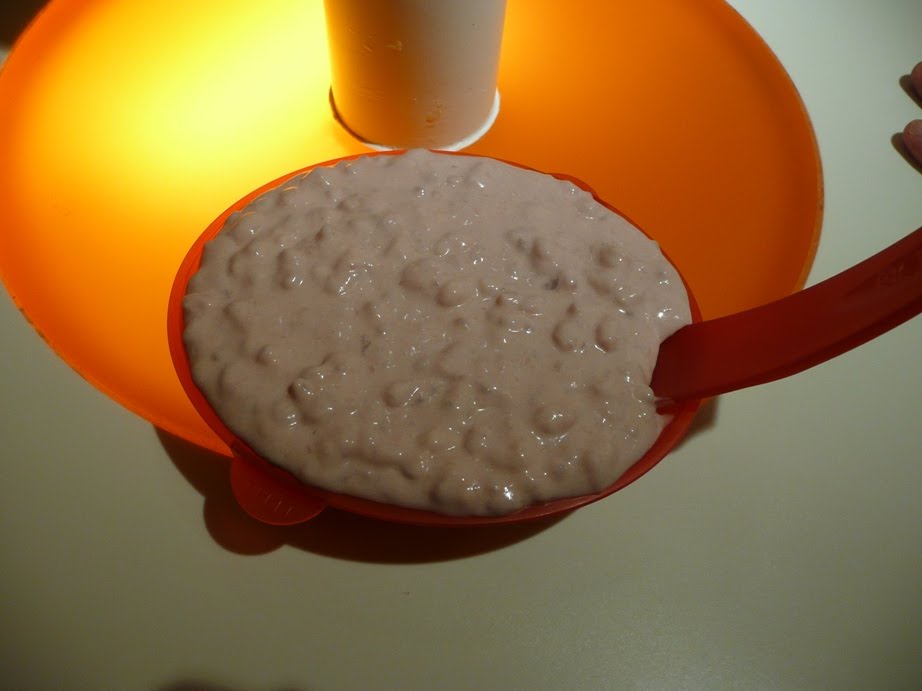 [cranberrie+rice.JPG]