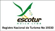 Servicio de Transporte Especial