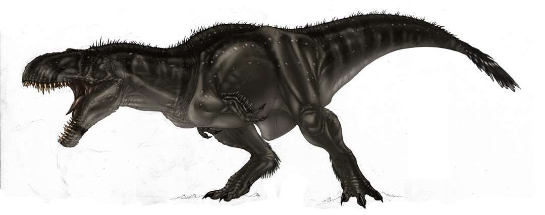 [T.rex2008.jpg]