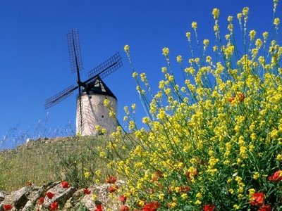 [1215705544_consuegra-spain.jpg]