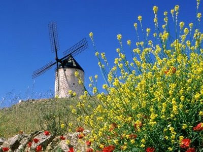 1215705544_consuegra-spain.jpg