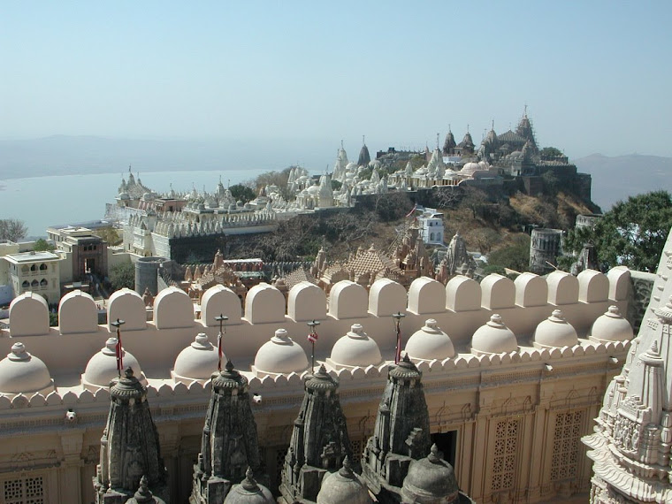 Top pics from India travels 2007-2008