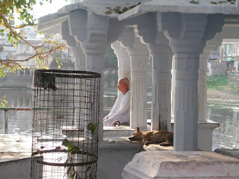 Top pics from India travels 2007-2008