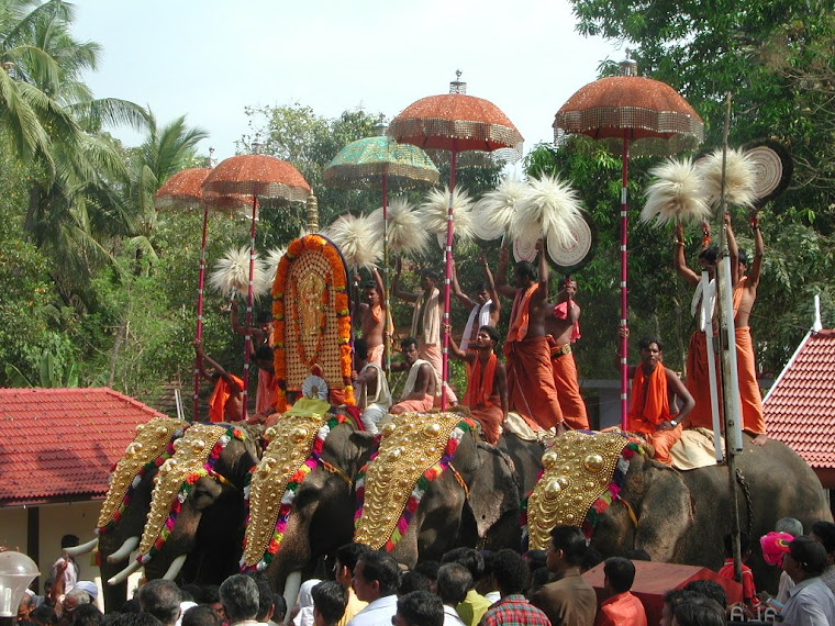 Top pics from India travels 2007-2008