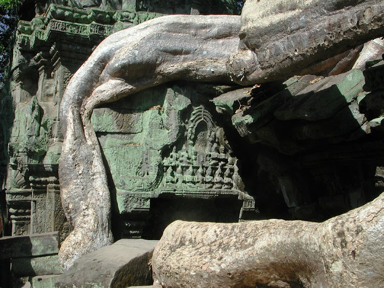 Top pics from Cambodia trip 2008