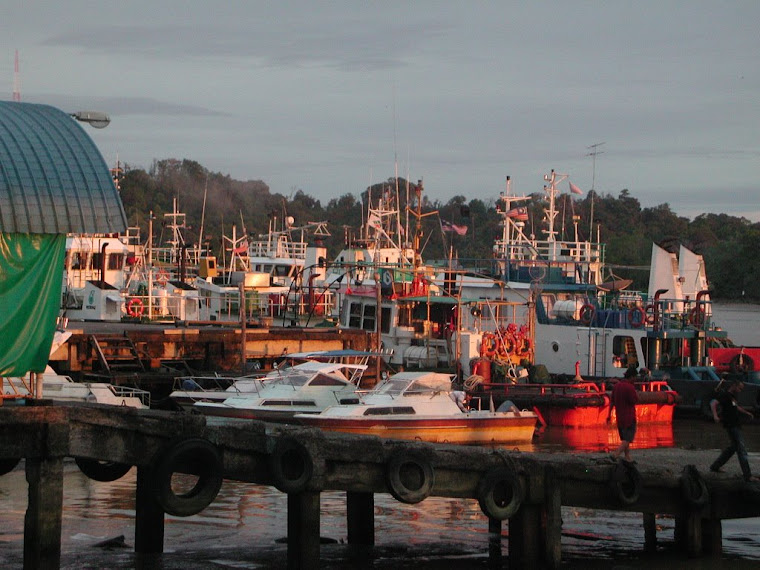 Top pics from Borneo trip 2008