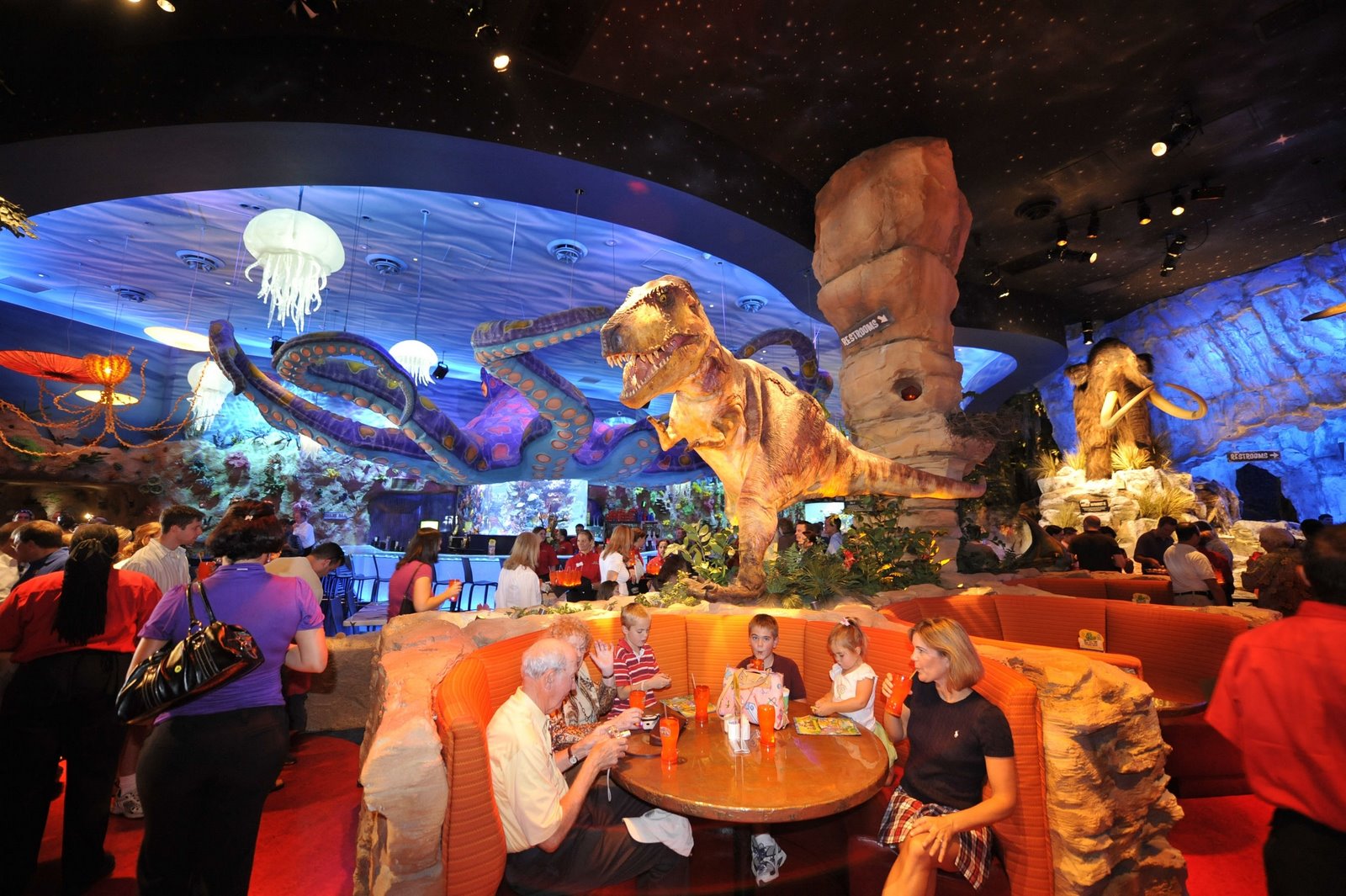 [Inside_TREX_JPG_19924_orig.jpg]