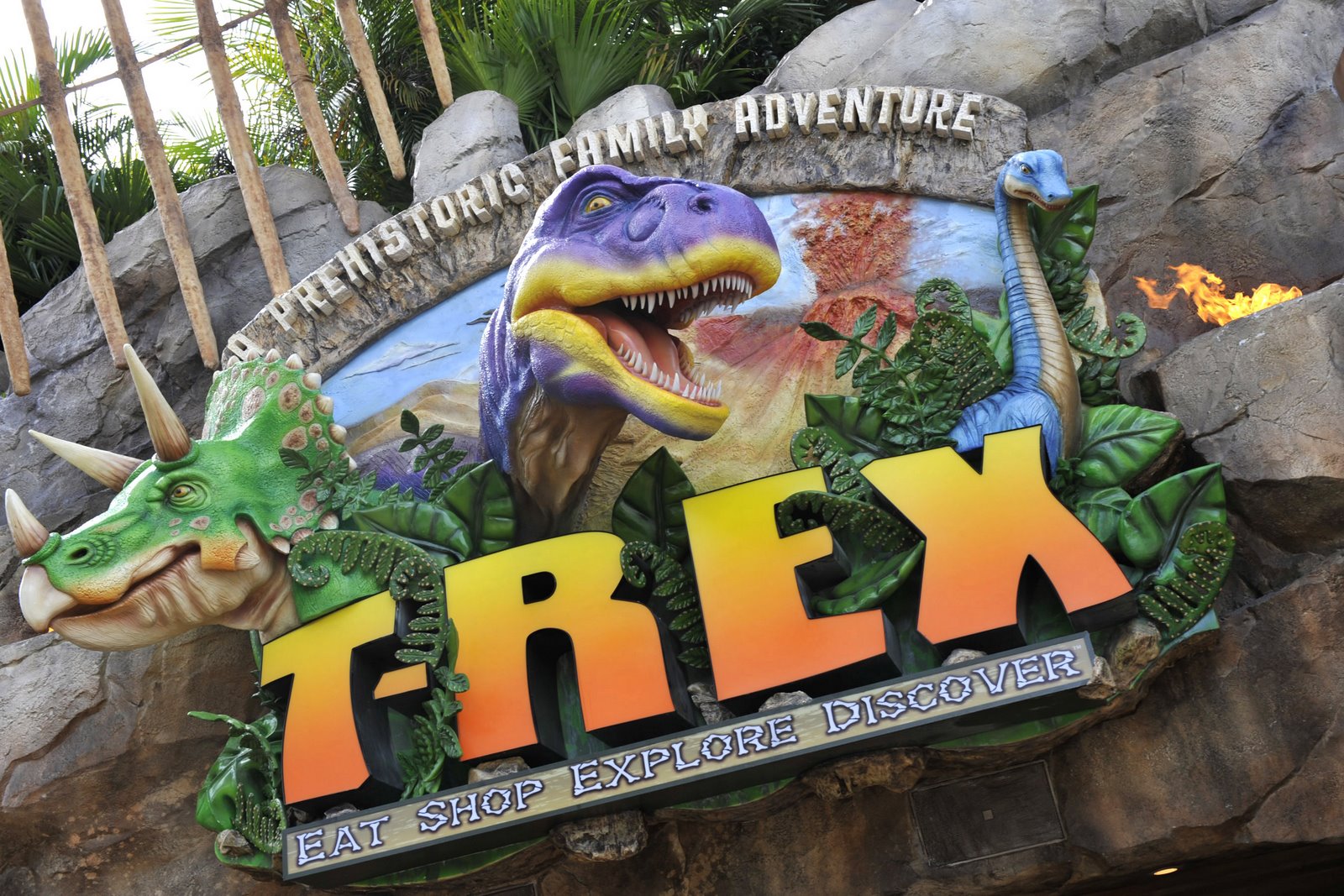 [1017AS_5011GD45744869.jpg]