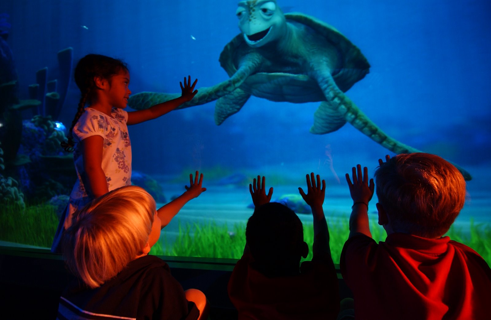 [turtle+talk+with+crush.jpg]