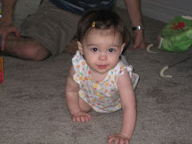 Forty-eight weeks