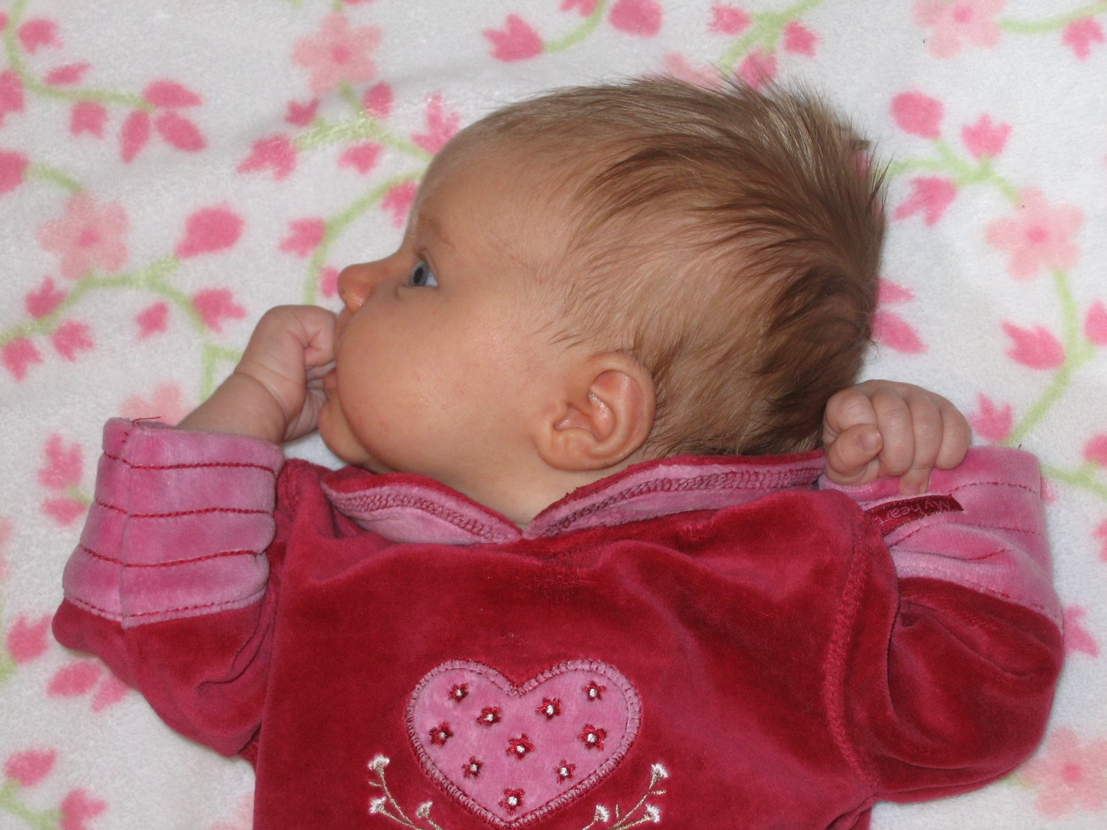 [Wednesday+14th+016.jpg]