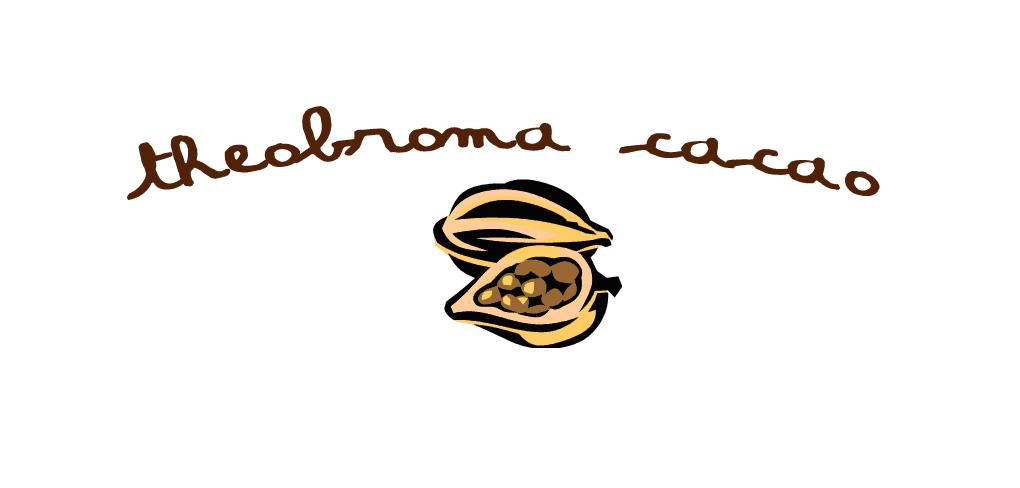 [theobroma+cacao+copy.jpg]