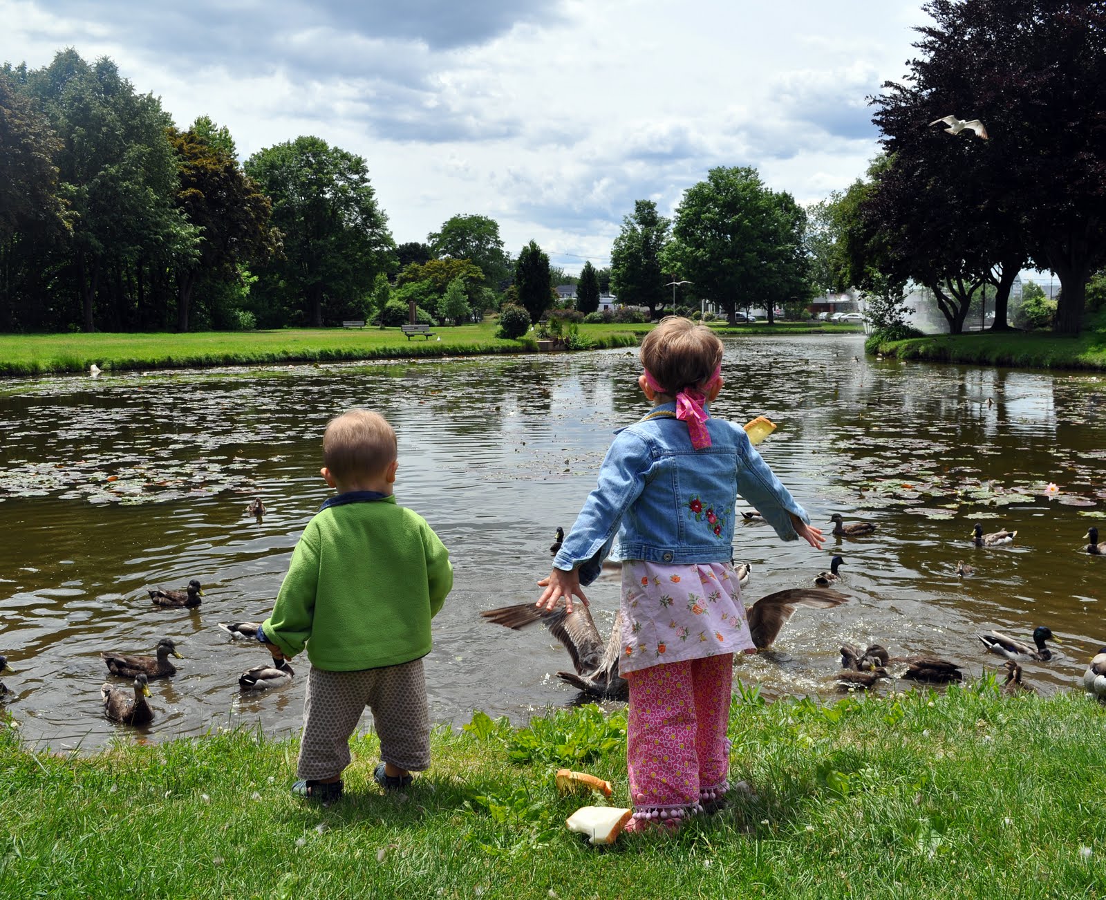 The Little Legers Feeding the Ducks at Millcreek Park